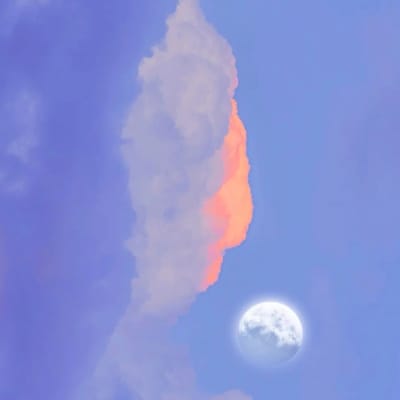 Nguyễn Phương Linh avatar