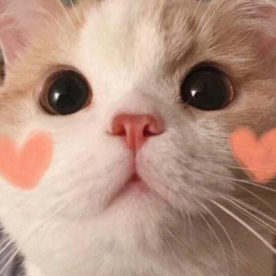 Nguyễn Văn An avatar