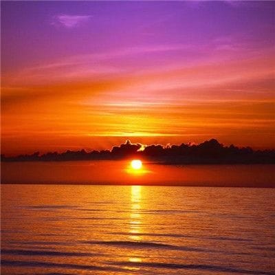 Phạm Thị Thu avatar